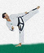 Tae Kwon Do ITF